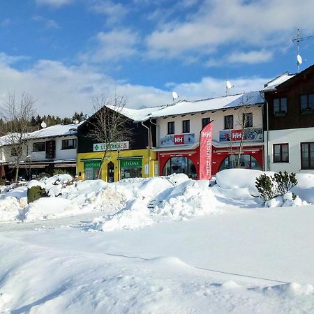 Apartman Leo Nr. 8 Lipno Nad Vltavou Dış mekan fotoğraf