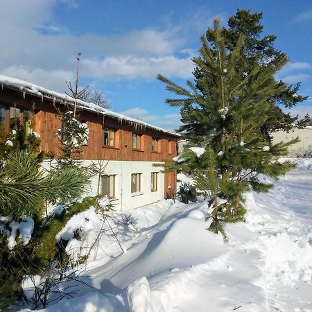 Apartman Leo Nr. 8 Lipno Nad Vltavou Dış mekan fotoğraf