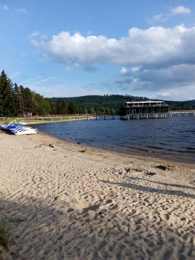 Apartman Leo Nr. 8 Lipno Nad Vltavou Dış mekan fotoğraf