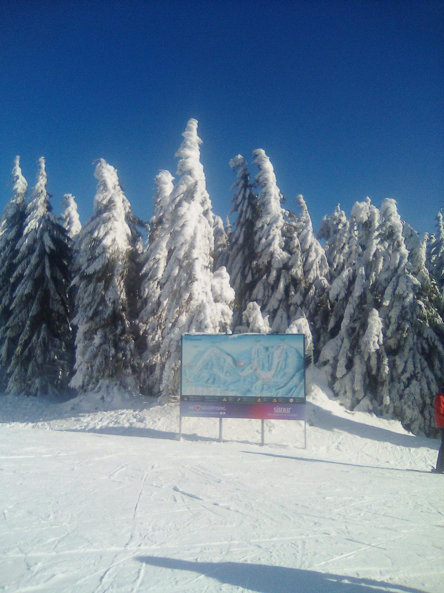 Apartman Leo Nr. 8 Lipno Nad Vltavou Dış mekan fotoğraf