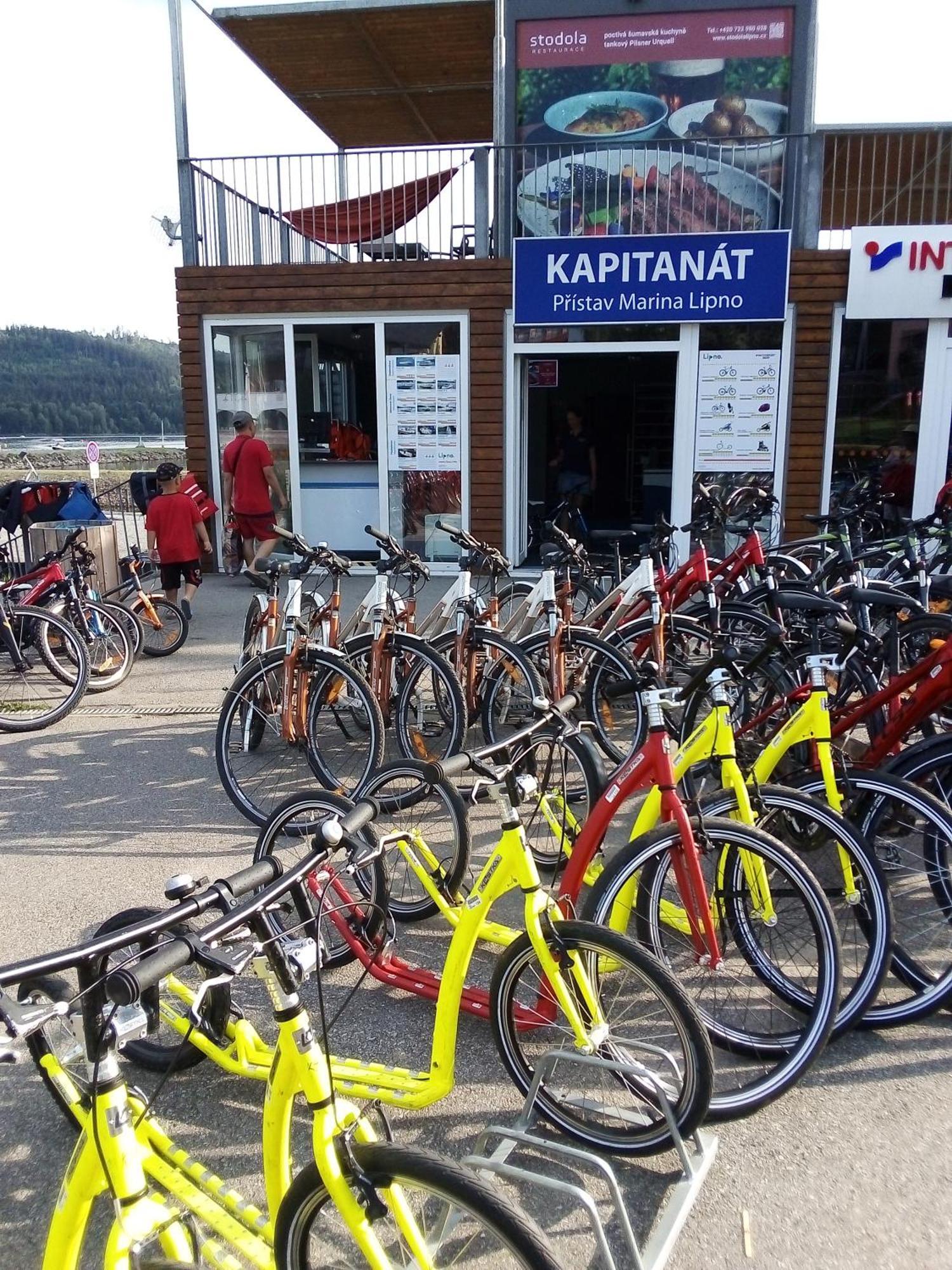 Apartman Leo Nr. 8 Lipno Nad Vltavou Dış mekan fotoğraf