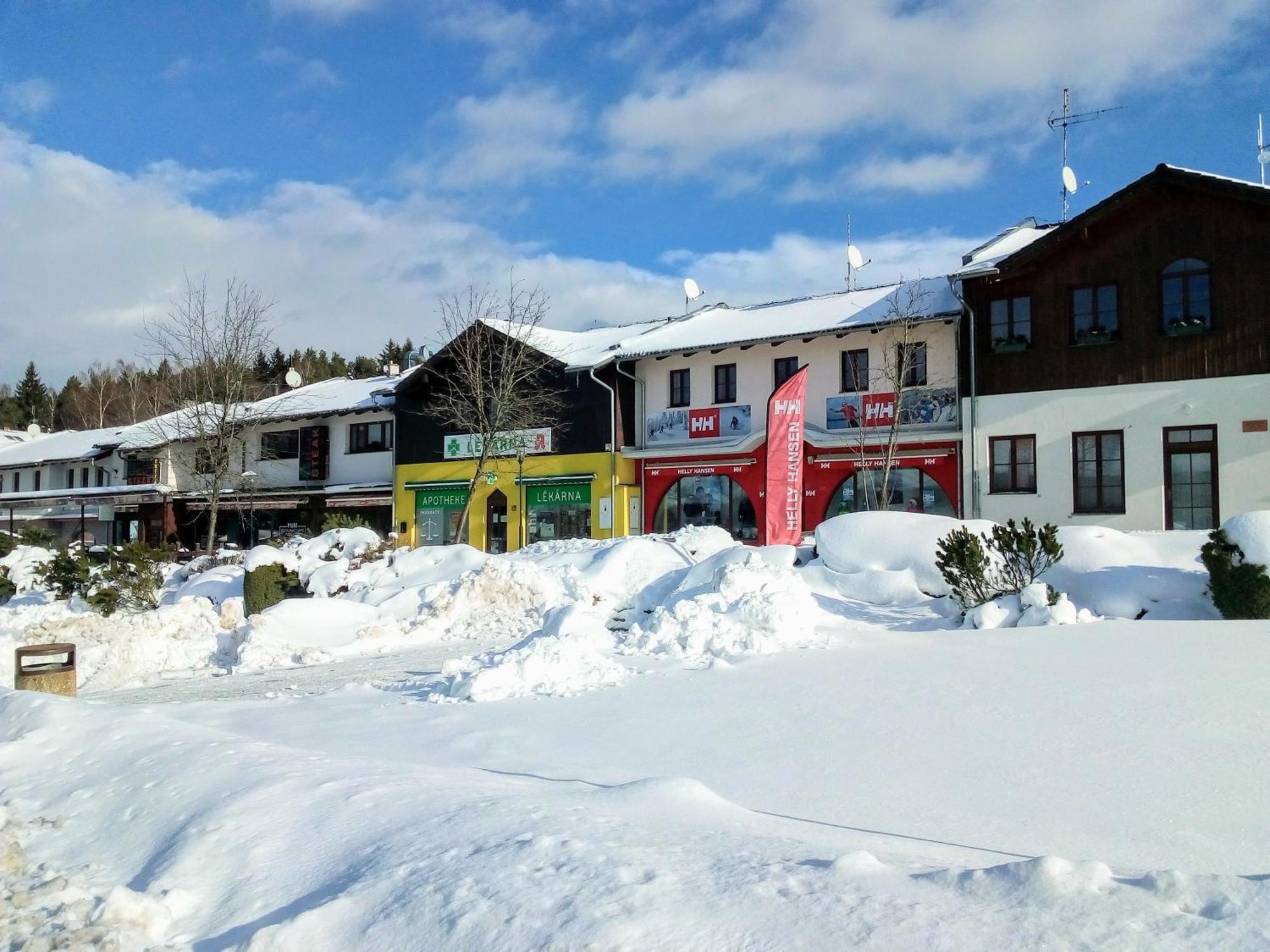 Apartman Leo Nr. 8 Lipno Nad Vltavou Dış mekan fotoğraf
