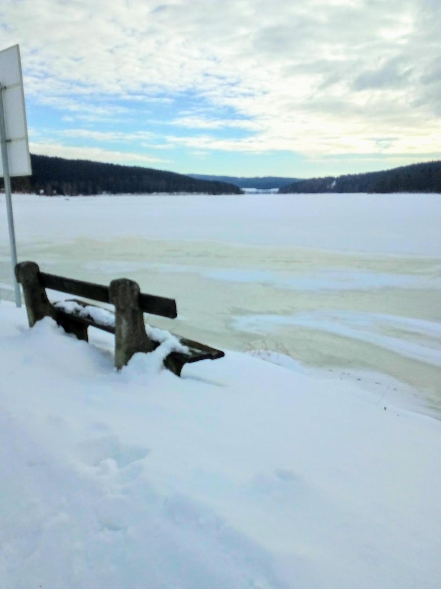 Apartman Leo Nr. 8 Lipno Nad Vltavou Dış mekan fotoğraf